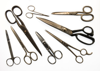 Collection of vintage pairs of scissors on white background