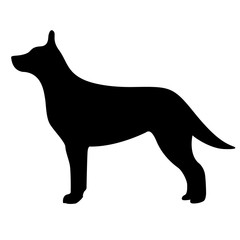 dog vector