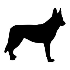 dog vector