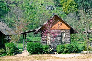 Facade of countryside wooden log house