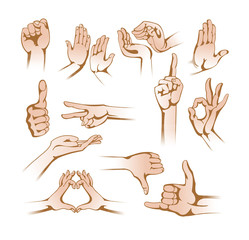 Set of hands in different gestures, signs on white background.