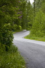 Obraz premium Wet asphalt road. Curvy highway.