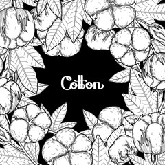 Graphic cotton plants