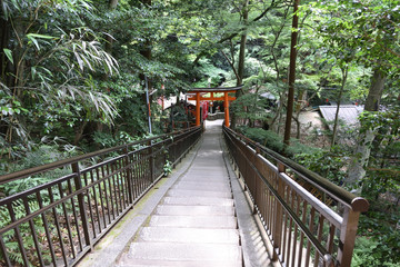 Fototapeta premium 伏見稲荷 千本鳥居