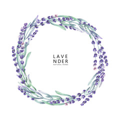 Watercolor lavender wreath
