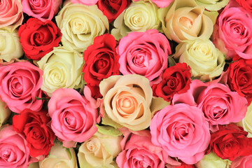 Obraz na płótnie Canvas pink mixed wedding roses