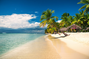 Tropical beach on Saona Island, Dominican republic - obrazy, fototapety, plakaty