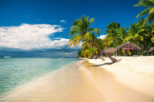 Tropical beach on Saona Island, Dominican republic