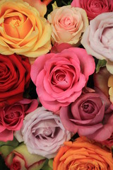 Colorful wedding roses
