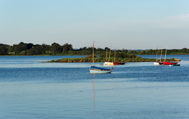 Fototapeta na wymiar Île du golfe du Morbihan