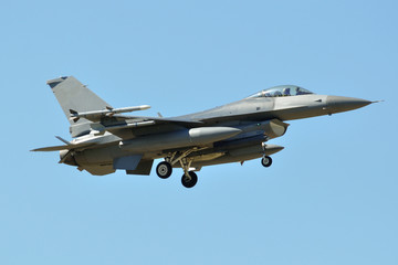 Fototapeta na wymiar F-16C aterrizando