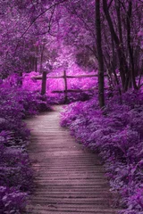 Printed roller blinds pruning Beautiful surreal purple landscape image of wooden boardwalk throughforest in Spring