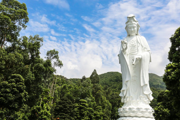 Tsz Shan Monastery.It is a Chinese Buddhist monastery in Tung Tsz.Much of the monastery building funds were donated by local business magnate Li Ka-shing.Guanyin in Hong Kong