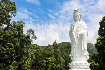 Obraz premium Tsz Shan Monastery.It is a Chinese Buddhist monastery in Tung Tsz.Much of the monastery building funds were donated by local business magnate Li Ka-shing.Guanyin in Hong Kong