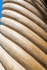 in old iran mousque the  column