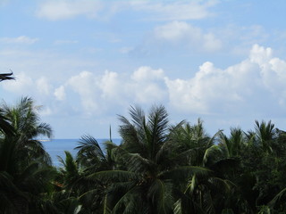 Fototapeta premium Sky, sea, clouds and palm trees