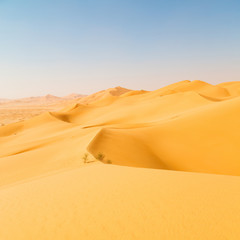 in oman old desert  rub al khali the empty  quarter and outdoor  sand dune