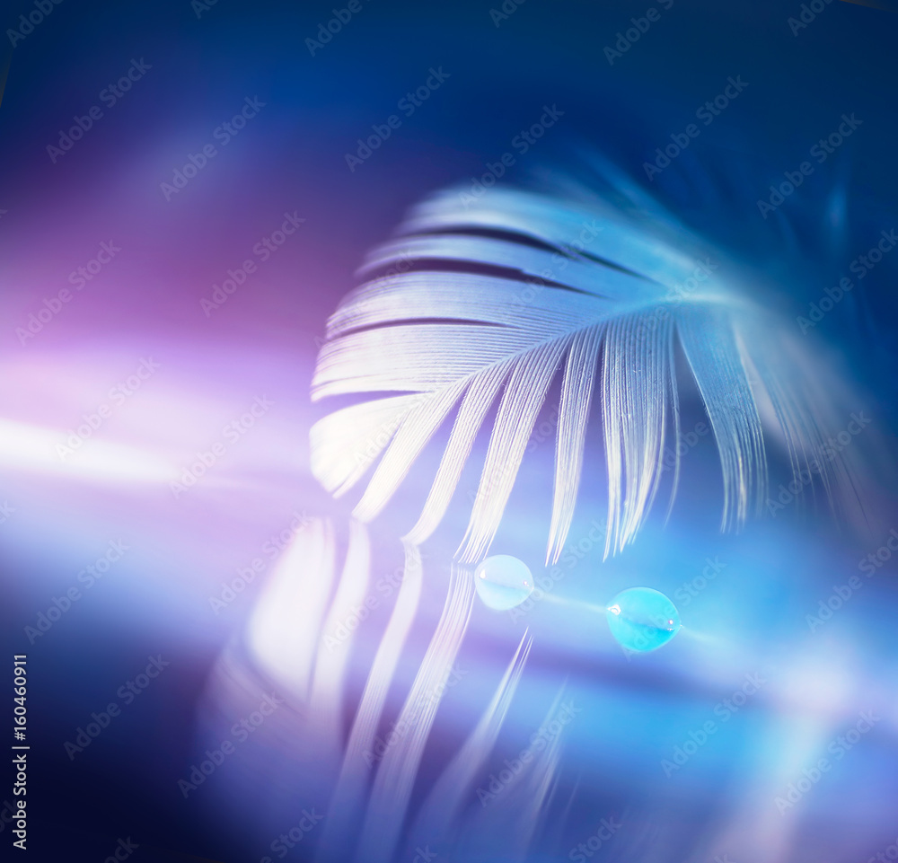 Aufkleber White airy feather on a mirror surface with drops of water and a reflection of a macro. Beautiful violet glowing background. Bright abstract artistic image.