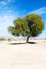 in oman  asphalt street white line and mountain panorama