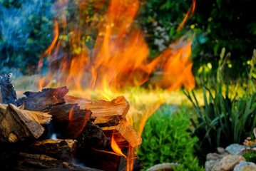 Bright orange red fire bonfire on wooden logs of wood in a barbecue on a background of green grass on a hot summer day barbecue kebab