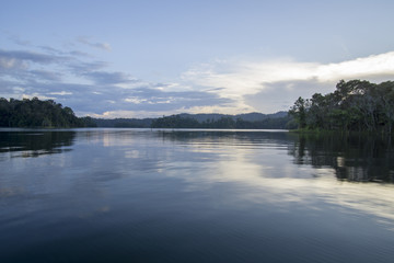 View of man-made lake of Royal Belum with nice green scenery and stumped wood.