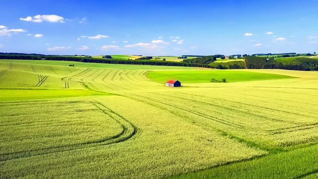 Aerial view of summer country. Nature background