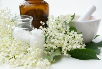 Holunderblüte, Naturheilkunde, Homöopathie,