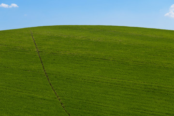 Countryside landscape, green field and blue sky