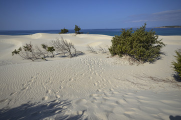 Dune bianche di Teulada , Teulada Sardegna