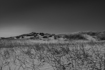 Camber dune