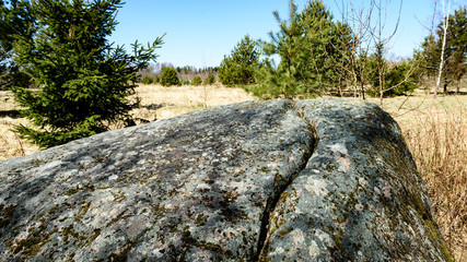 large stone in  meadow