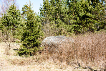 large stone in  meadow