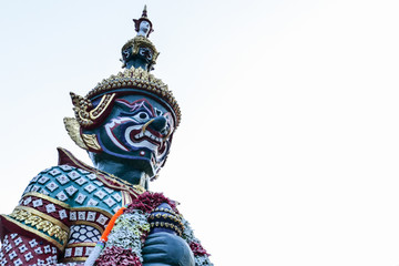 The Thai Giant in white background.