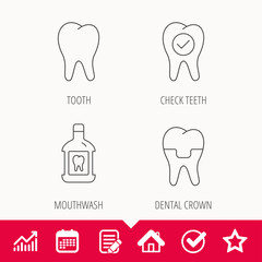 Tooth, dental crown and mouthwash icons. Check teeth linear sign. Edit document, Calendar and Graph chart signs. Star, Check and House web icons. Vector