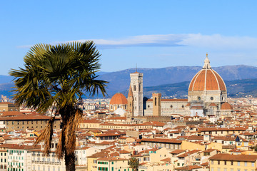 Obraz premium Florence aerial view, tuscany, Italy