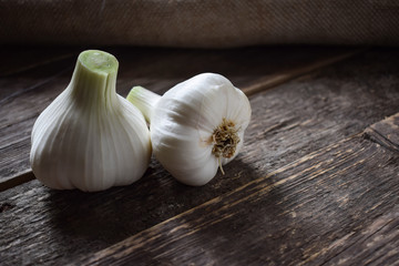 garlic 