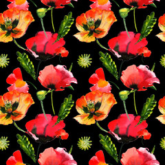 Wildflower poppy flower pattern in a watercolor style isolated.
