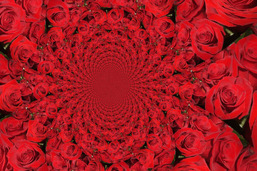 abstract red background, roses, abstract