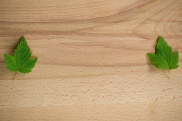 Wood dock background with green leaf