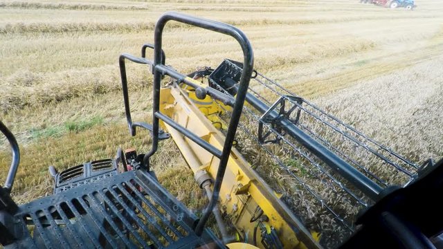 Farmer yellow combine harvester on field. Harvesting mowing ripe wheat in sunny summer. Point of view from Harvester cabin. Agriculture summer concept