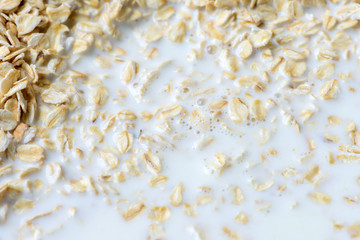 Oatmeal flakes close up