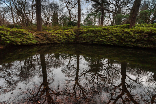 Mirror images