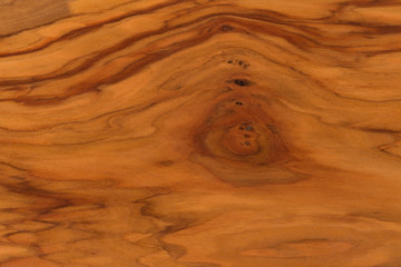 Olive wood texture close up.