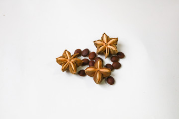 sacha inchi peanut seed on white background