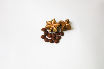 sacha inchi peanut seed on white background