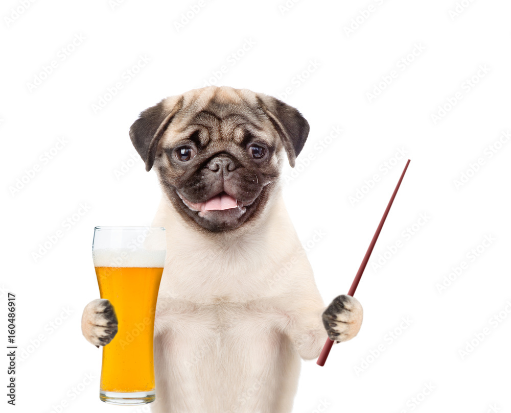 Poster puppy with a glass of beer and pointing stick. isolated on white background