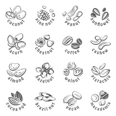 collection of monochrome nuts icons
