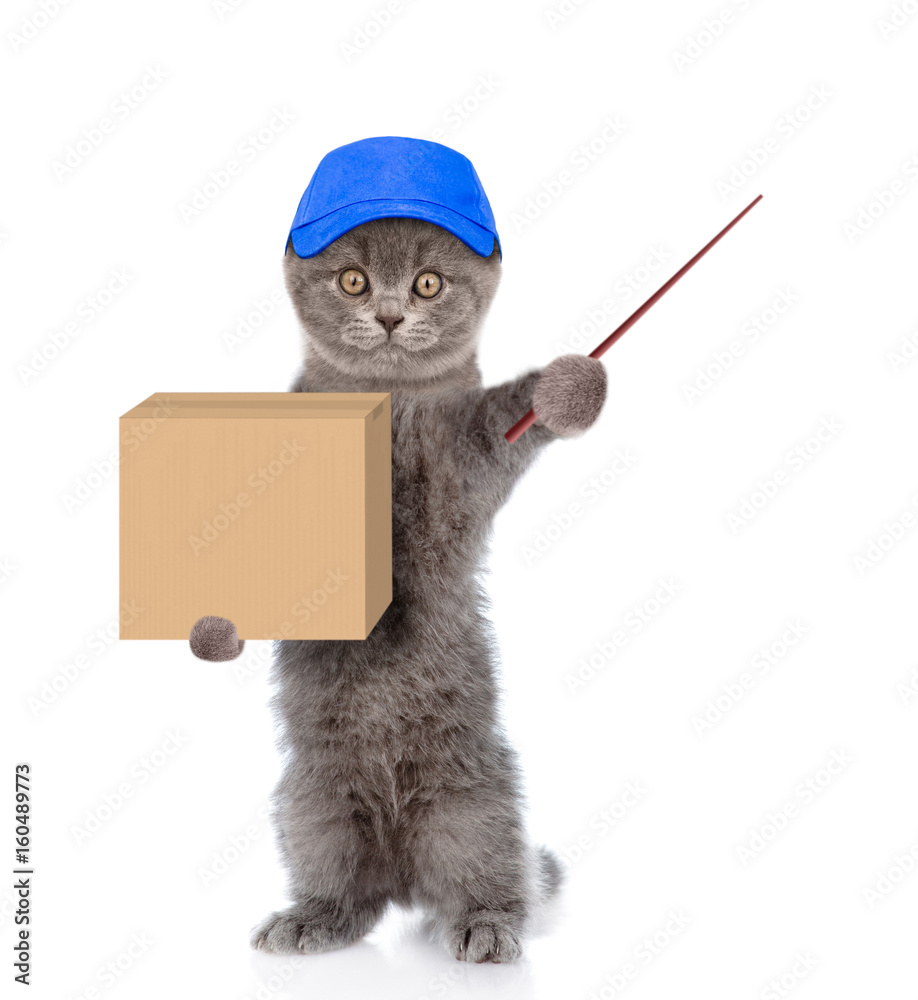 Poster Cat in hat laborer holding a pointing stick and big package. isolated on white background