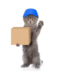 Fototapeten Funny cat delivering a big package. isolated on white background © Ermolaev Alexandr