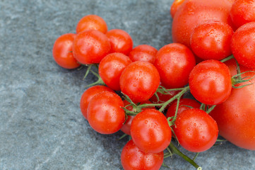 red tomatoes on a branch and board